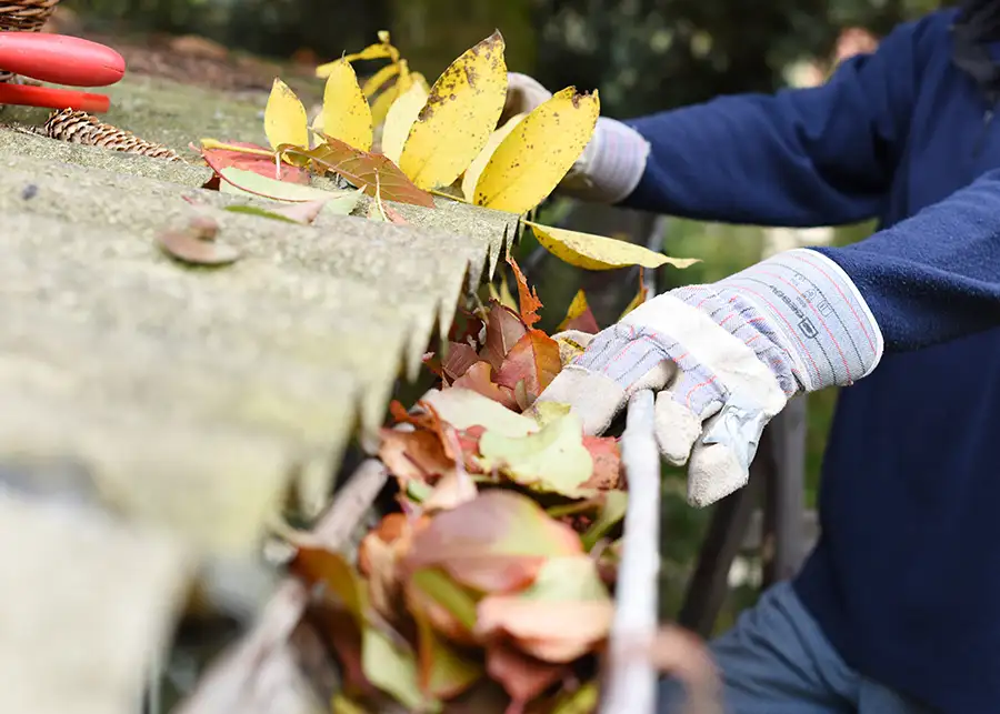 River Cities Seamless Gutters - gutter cleaning - Granite City, IL Metro East